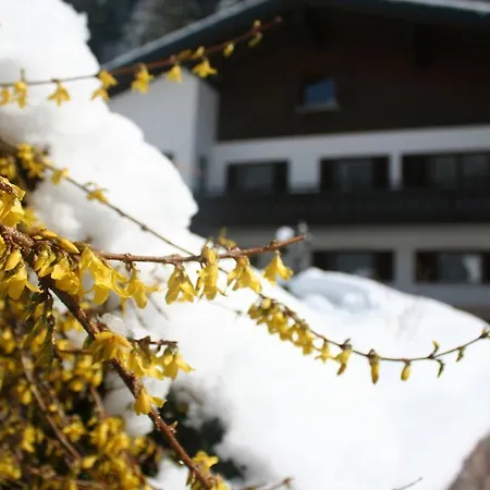 Penzion Haus Tschanun Gaschurn