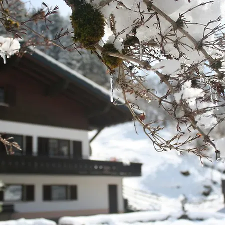 Haus Tschanun Penzion Gaschurn
